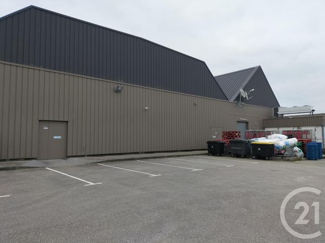 Commerce à vendre ST VAAST LA HOUGUE