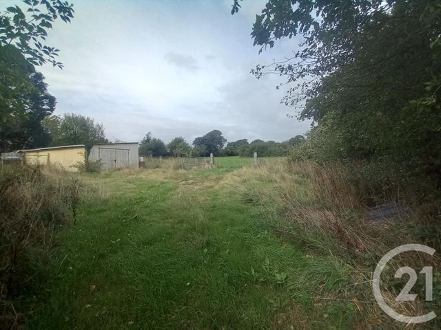 maison à vendre - 6 pièces - 142.0 m2 - BENOITVILLE - 50 - BASSE-NORMANDIE - Century 21 Hervé Regnault